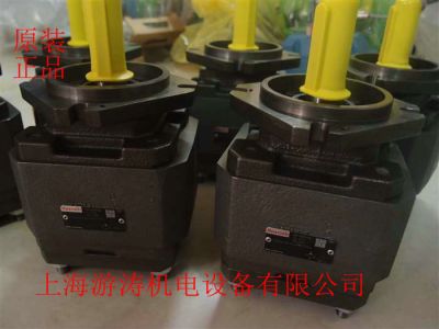 REXROTH齒輪泵P2GH5/063 GH4/063RE11 R07E4